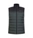 Mountain Warehouse Mens Seasons Padded Vest (Dark Green) - UTMW124