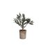 Plante Artificielle en Pot Olivier 33cm Vert