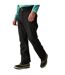 Mens Achieve Ii Ski Trousers Black Dare 2B-1