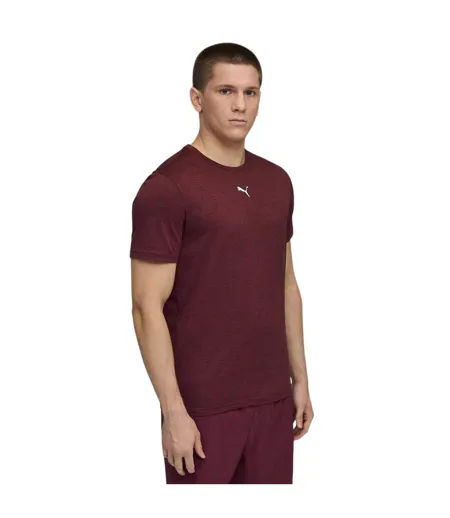 Mens Tad Performance Gym T-shirt Burgundy Puma