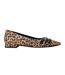 Ballerines Motif/style Imprimé Léopard Sensa Femme Beige Noir Clarks-1