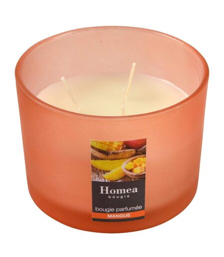 Bougie Verrine Parfumée Essentiel 11cm Mangue