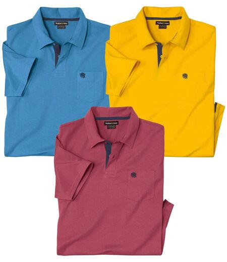 Lot de 3 Polos Coton Unis 