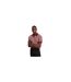 Polo Manches Courtes Motif/style Chevron Homme Bordeaux Foncé Ted Baker-1