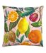 Citrus outdoor cushion cover one size multicoloured Evans Lichfield-1