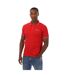 Polo Manches Courtes Homme Rouge Blanc Aquascutum-2