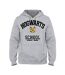 Sweat À Capuche Hogwarts School Homme Gris Gris Harry Potter-1