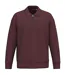 Unisex Adult Quarter Zip Sweatshirt Dark Cherry Native Spirit-1