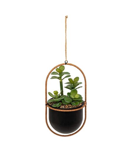 Plante Artificielle Suspendue Tyla 31cm Noir
