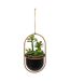 Plante Artificielle Suspendue Tyla 31cm Noir-1