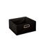Boîte de Rangement Pliable Premium 15x31cm Noir-1