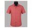 Chemisettes manches courtes Winchester Tubac1 coupe confort en coton Corail-3