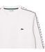 Sweat Homme Blanc Lacoste-2