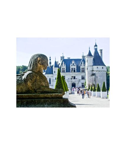 Visite du château de Chenonceau : billets pour 1 adulte et 2 enfants - SMARTBOX - Coffret Cadeau Sport & Aventure
