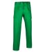 Pantalon de travail multipoches - Homme - CHISPA - vert amazone