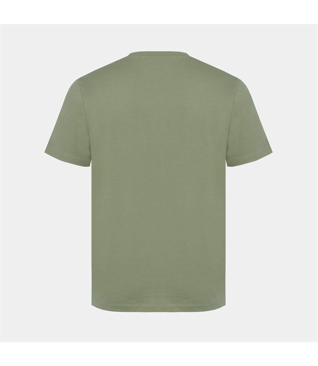 T-shirt Motif/style Logo Carnaby Homme Vert Clair Jack Wills-3