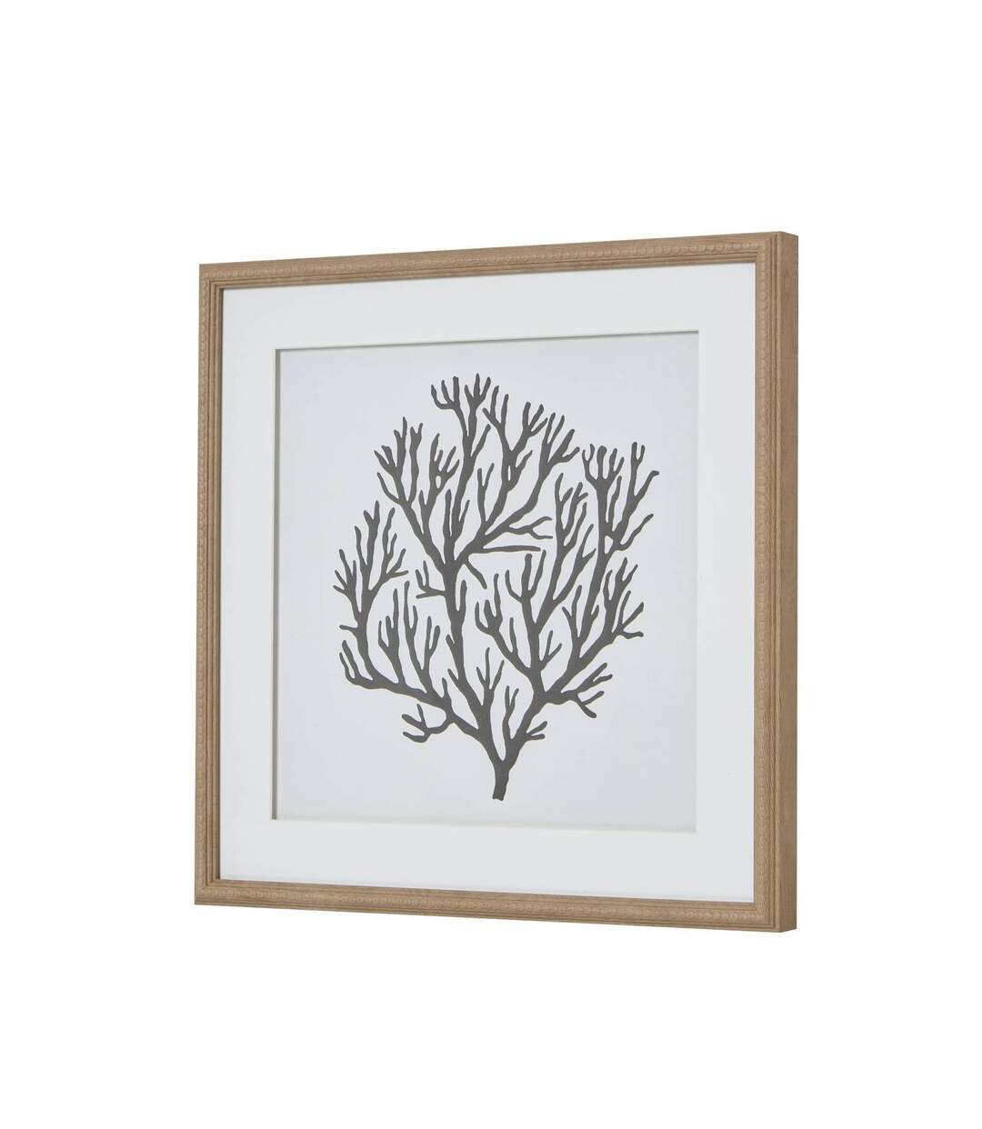 Atol coral framed art print 40cm x 2cm x 40cm brown/grey/white Hill Interiors-2