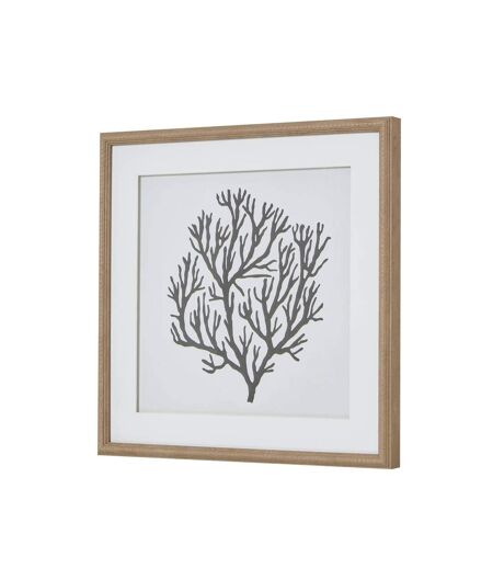 Atol coral framed art print 40cm x 2cm x 40cm brown/grey/white Hill Interiors