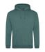 Sweat À Capuche College Adulte Vert Mousse Awdis-1