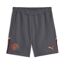 Manchester City Short Gris Homme Puma Casuals - L-1