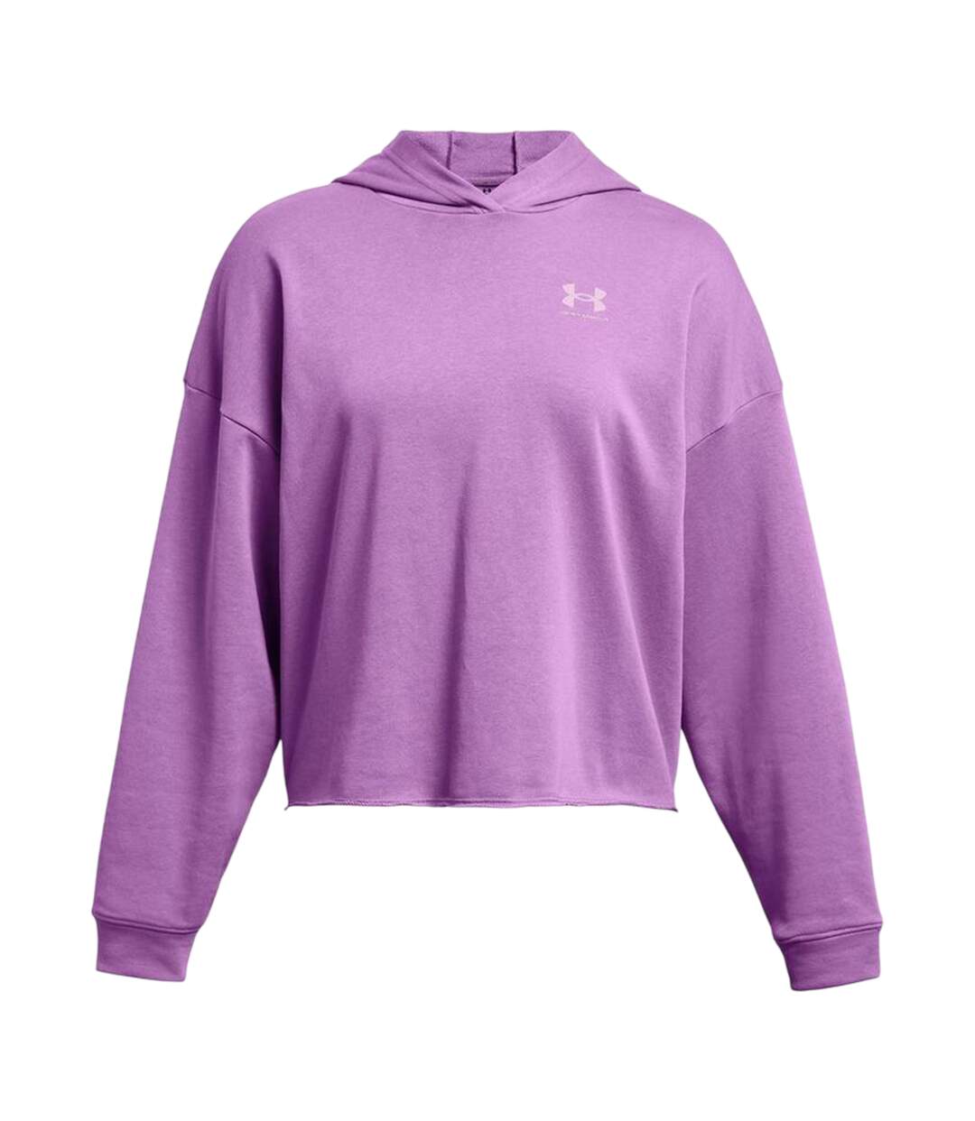 Sweat À Capuche Rival Femme Violet Under Armour-2