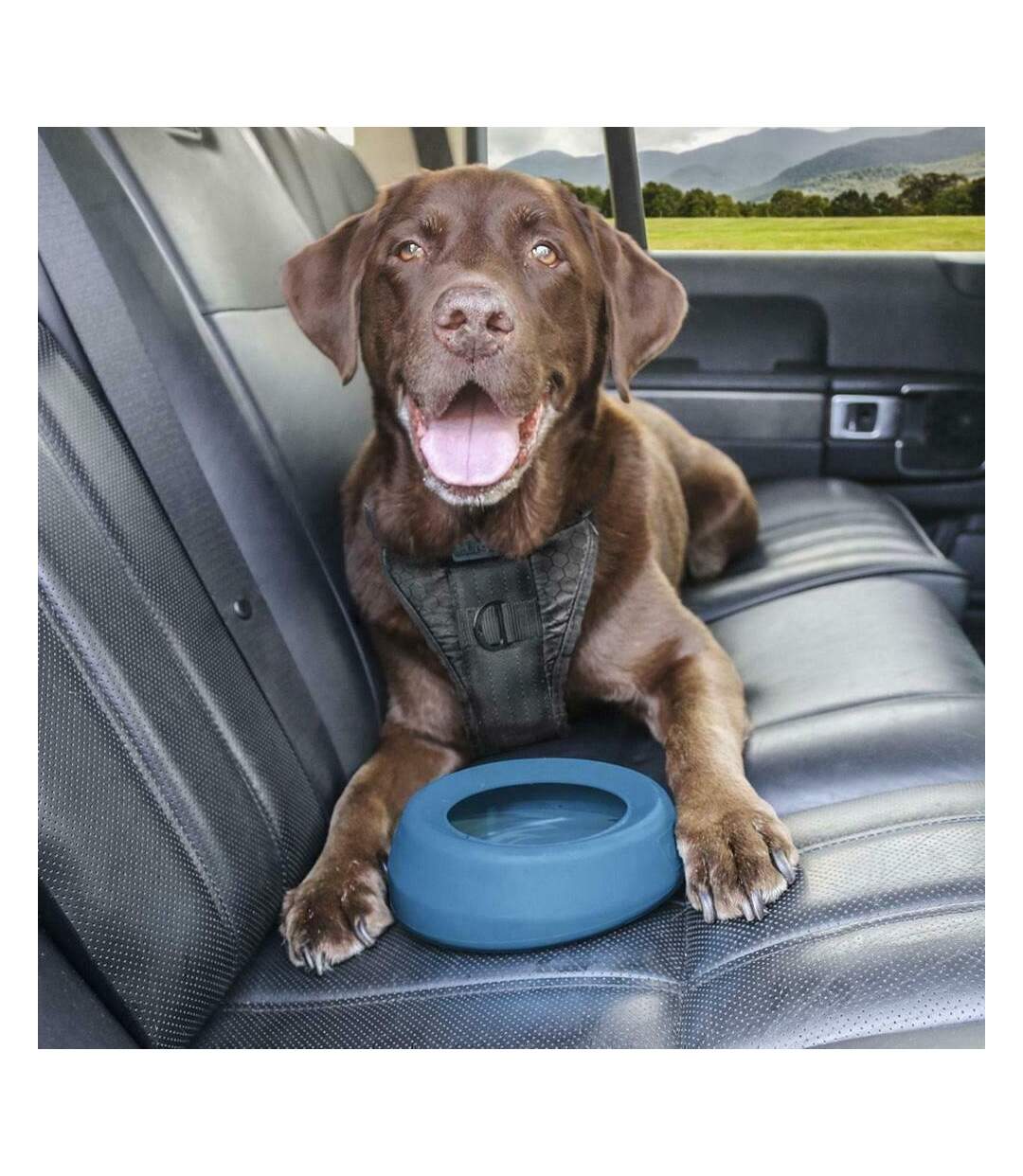 Splash free dog bowl 710ml blue Kurgo-3