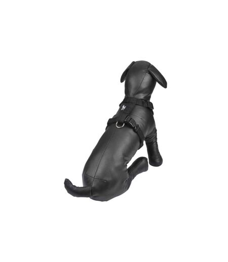 Harnais pour Chien Essentiel 70cm Noir