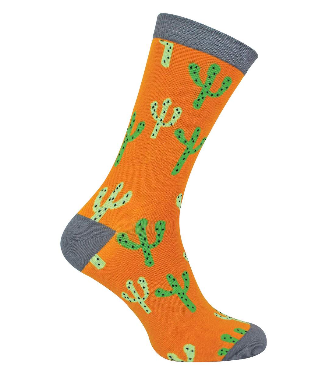 Mr Heron - Mens Cactus Novelty Bamboo Socks-1