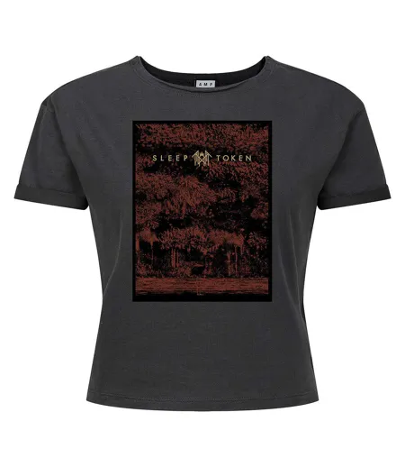 Womens/ladies Flamingo Sleep Token Crop Top Charcoal Amplified