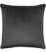 Paoletti - Housse de coussin HORTUS BEE (Anthracite) (50cm x 50cm) - UTRV2110