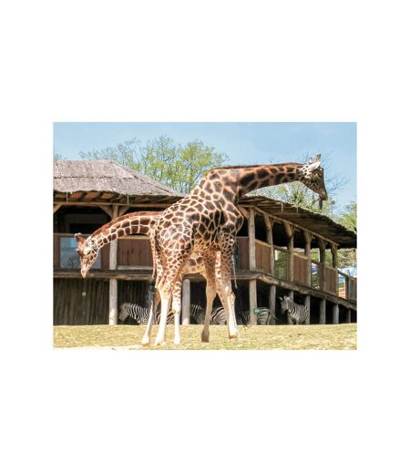 Journée au Parc Zoologique d'Amnéville en famille - SMARTBOX - Coffret Cadeau Sport & Aventure