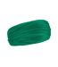 Cache-cou Morf Original Adulte Taille Unique Vert Beechfield-1