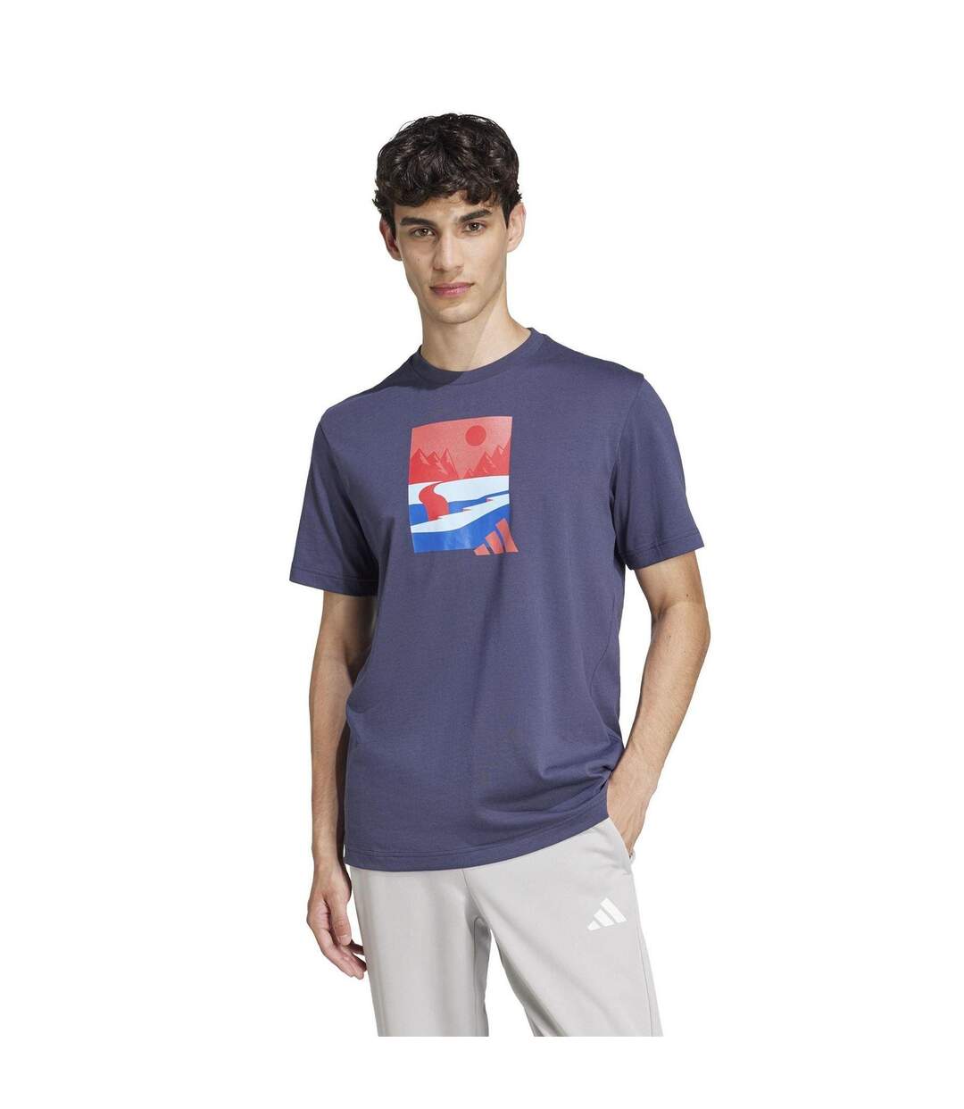 Mens Mountain Logo T-shirt Navy Adidas-1