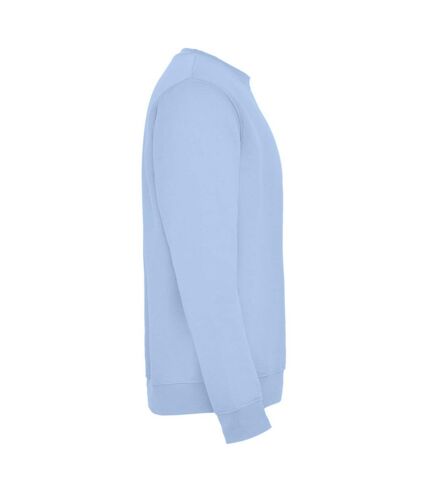 Sweat clasica adulte bleu ciel Roly