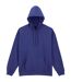 Sweat À Capuche Adulte Cobalt Gildan-1