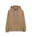 Sweat à Capuche Beige Homme Teddy Smith nark Hoody - L