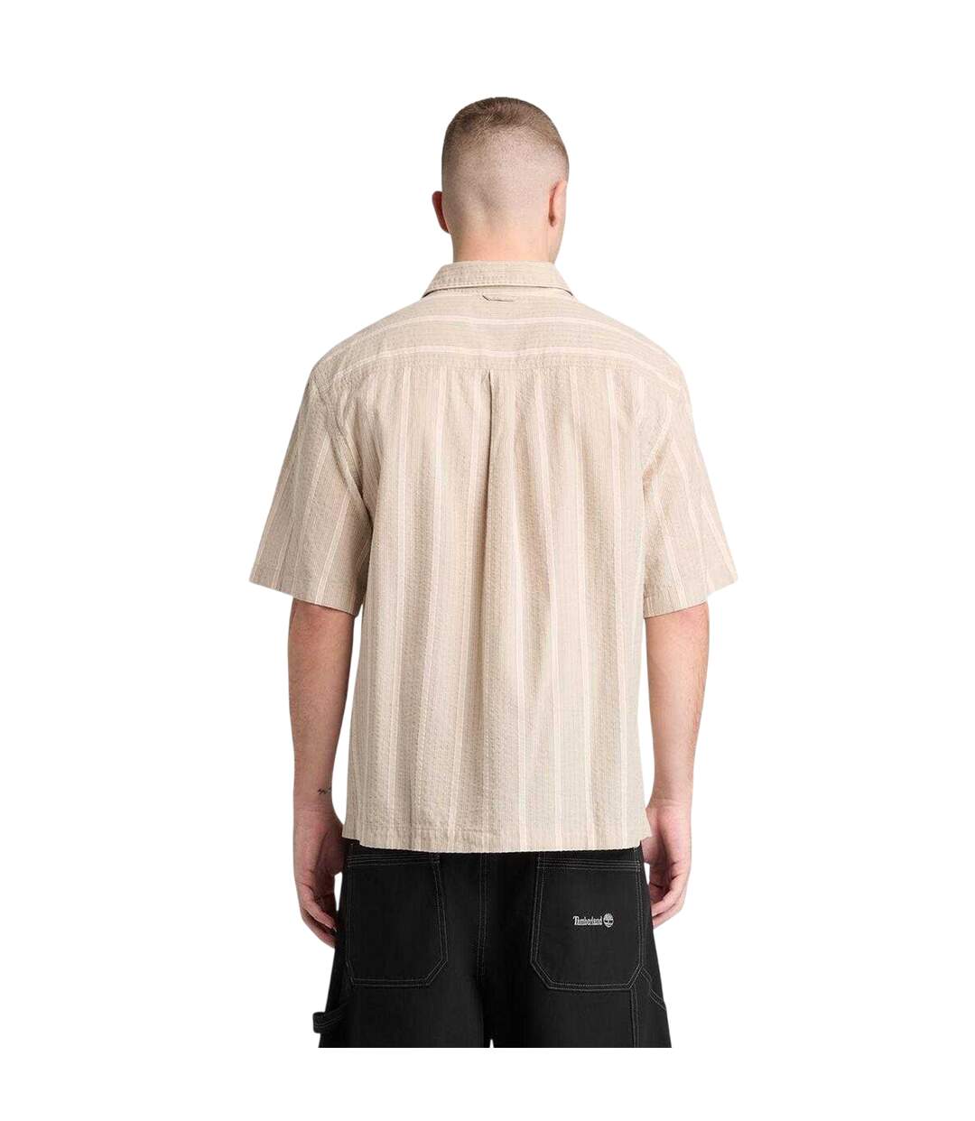 Chemise Manches Courtes Motif/style À Rayures Homme Marron Timberland-3