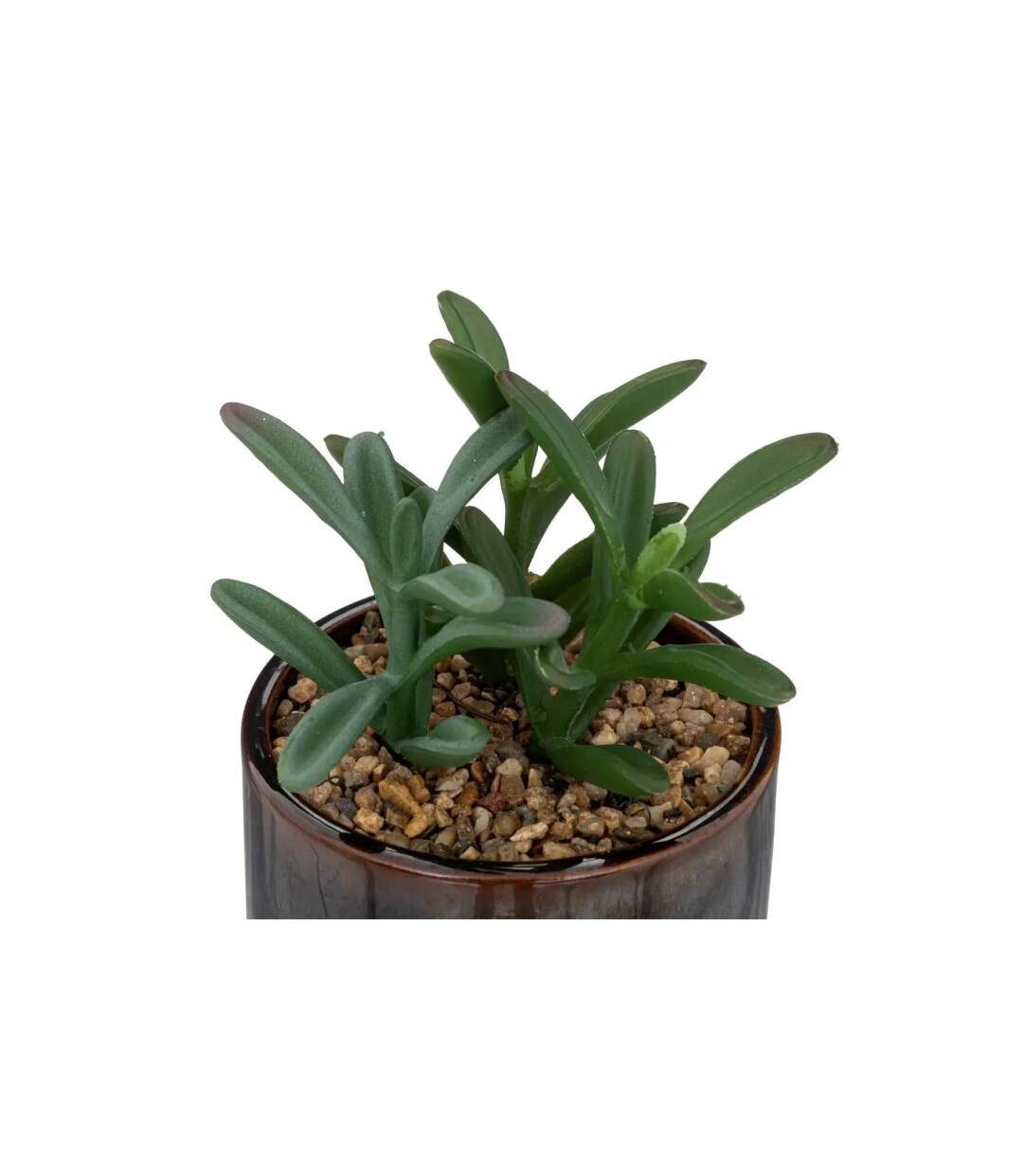 Plante Artificielle en Pot Déco Bota 14cm Noir-2