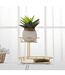 Plateau Décoratif 2 Niveaux Jade 36cm Or-4