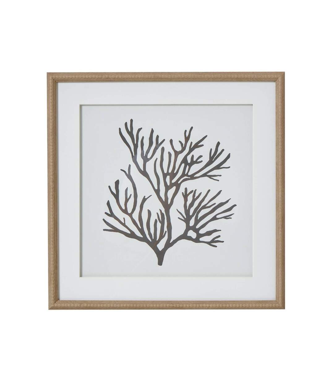 Reef coral framed print one size brown/white/black Hill Interiors-2
