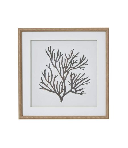 Reef coral framed print one size brown/white/black Hill Interiors