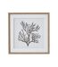 Reef coral framed print one size brown/white/black Hill Interiors-2