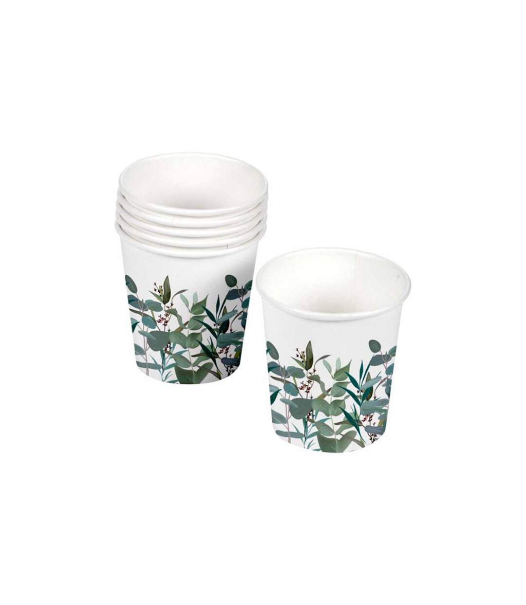 Lot de 10 Gobelets en Carton Eucalyptus 23cl Blanc-1