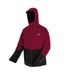 Doudoune Matelassée Highton Homme Pourpre Foncé Noir Regatta-4