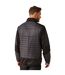 Veste Hybride Homme Cendre Noir Regatta Professional-4