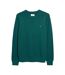 Sweat Kingsbury Homme Vert Farah-2