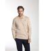 Pull col polo  en coton MILANO POLO-1