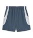 Mcfc short gris homme puma kidsuper-2
