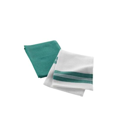 Lot de 2 Torchons Nid d'Abeille Botanique 50x70cm Vert