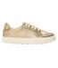 Baskets Femme Or Métallisé Timberland-1